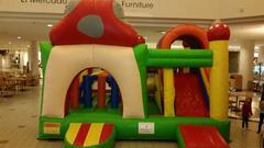Mushroom Bounce House Combo Mushroom Bounce House Combo