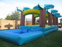 Tropical Slip and Slide with pool Tropical Slip and Slide with pool
